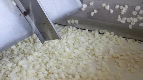 Corn starch flakes on a conveyor belt in food processing plant Stock Footage 145201243