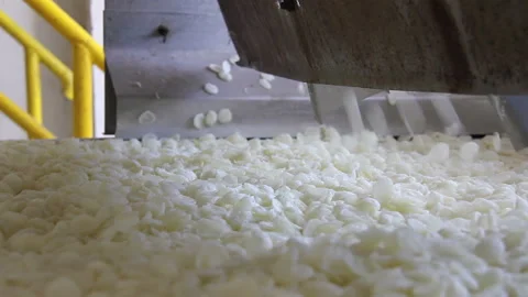 Corn starch flakes on a conveyor belt in food processing plant Stock Footage 145201894