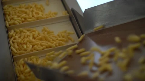 Corn sticks move along an automatic conveyor, fall onto a second belt Stock Footage 195816166
