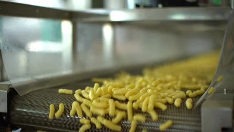 Corn sticks move on an automatic conveyor in a food processing factory. Stock Footage 195816046