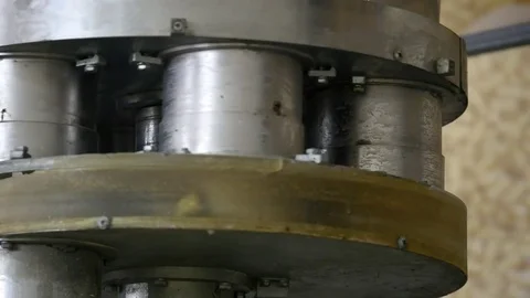 Corn sticks processing factory equipment Stock Footage 76312503