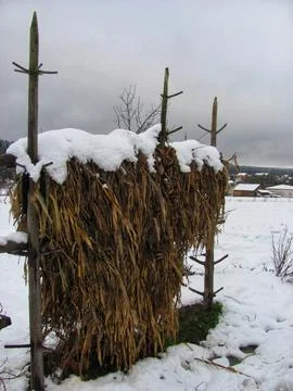 Corn Straw Stack in a Snowy Rural Setting Stock Photos