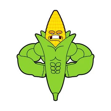 Corn Strong Cool serious. maize powerful strict. Cereals Vector illustration Ilustración de archivo