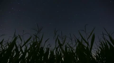 Corn Timelapse Night 2 動画素材 21786211