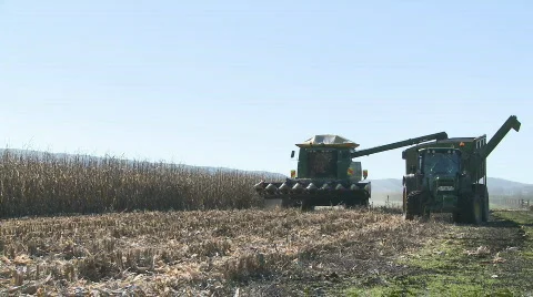 Corn unloaded long shot Stock Footage 755461