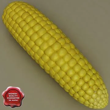 Corn V3 3D Model