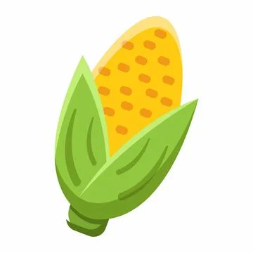 Corn vector art illustration Stock Illustration