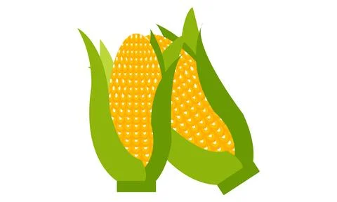 Corn Vector Design And Illustration. Stock Illustration