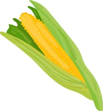 Corn vector design illustration isolated on white background. Stock Illustration