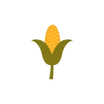 Corn vector design template illustration Stock Illustration