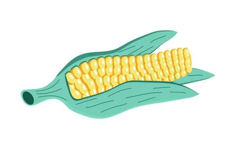 Corn vector isolated on white background. Fresh, health food icon are shown. Stock-Illustration
