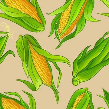 Corn vector pattern Illustrazione stock