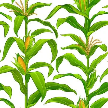 Corn vector pattern Stock Illustration