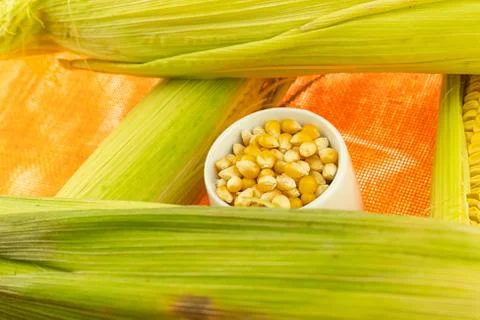 Corn vegetable set in a small bowl stands among a cob of green closeup Foto stock