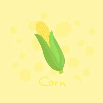 Corn Vegetable Vector illustration Stock Illustration