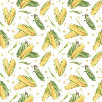 Corn vegetable watercolor seamless pattern. Yellow maize kernel, corncobs and Stock Illustration