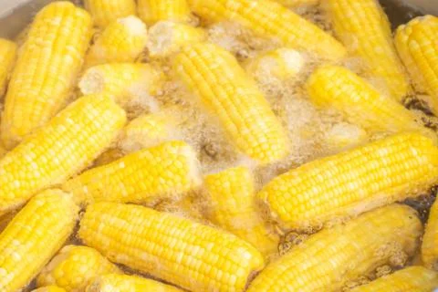 The corn was cooked in boiling water. Stock Photos