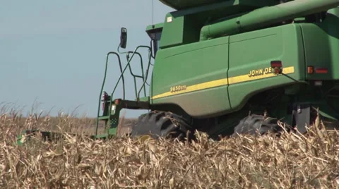 Corn Waving with Combine Stock Footage 36579640