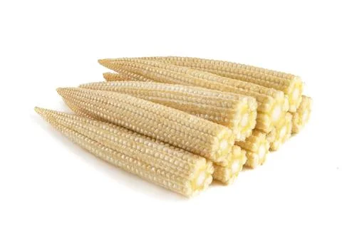 Corn on a white background. Baby corn isolated on white homogeneous background Stock Photos