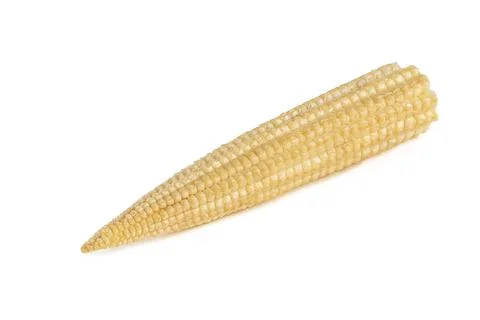 Corn on a white background. Baby corn isolated on white homogeneous background Stock Photos