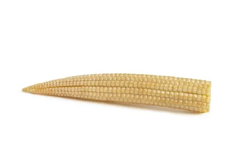 Corn on a white background. Baby corn isolated on white homogeneous background Stock Photos