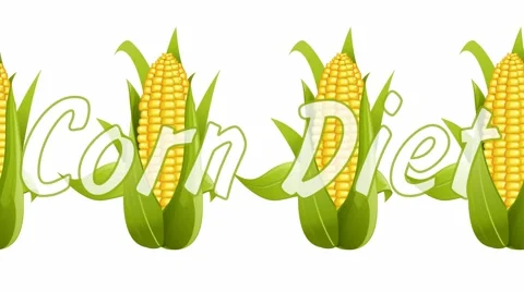 Corn on a white background. diet Stock Footage 45909343