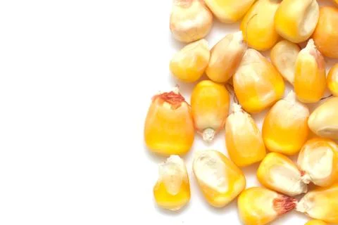 Corn on a white background. macro Stock Photos