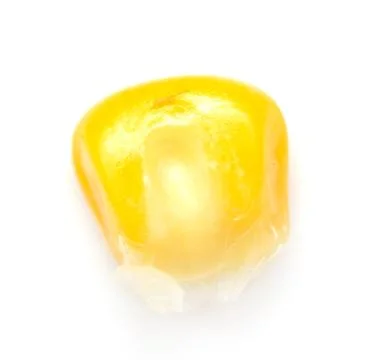 Corn on a white background. macro Stock Photos