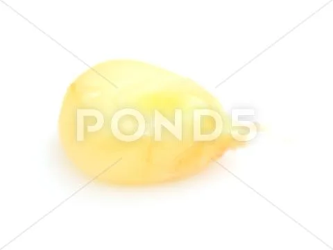 Corn on a white background. macro Stock Photos
