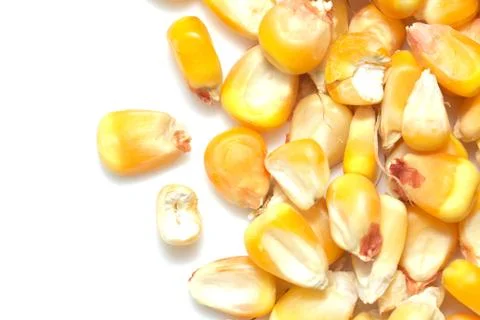 Corn on a white background. macro Stock Photos