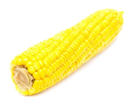 Corn on a white background Stock Photos