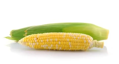Corn on a white background Stock Photos