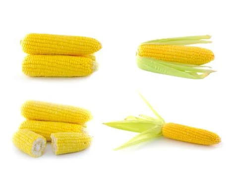 Corn on a white background Stock Photos