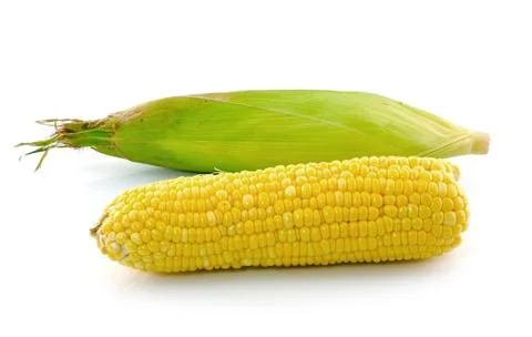 Corn on a white background Stock Photos