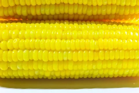 Corn on a white background Stock Photos