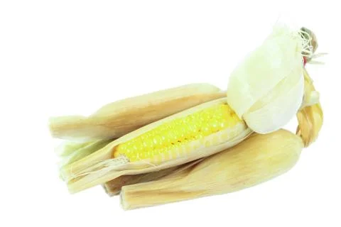 Corn on white background Stock Photos