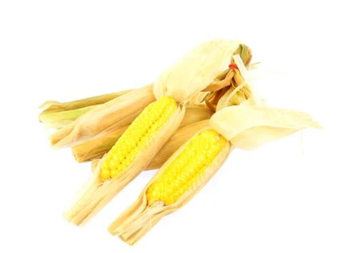 Corn on white background Stock Photos
