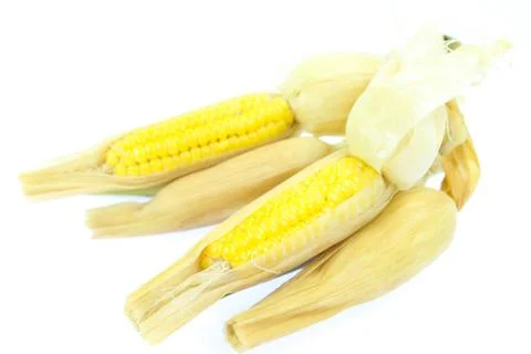 Corn on white background Stock Photos