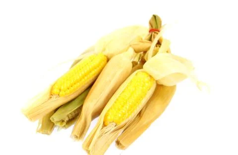 Corn on white background Stock Photos