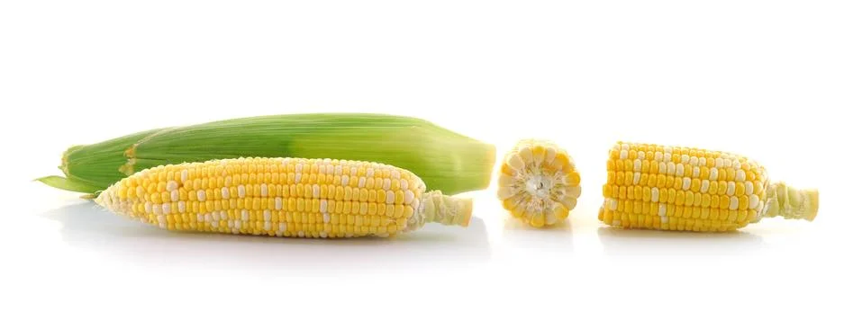 Corn on a white background Stock Photos