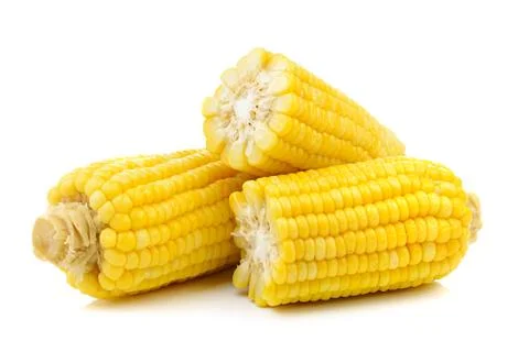 Corn on white background Stock Photos