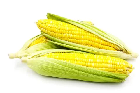 Corn on white background Stock Photos