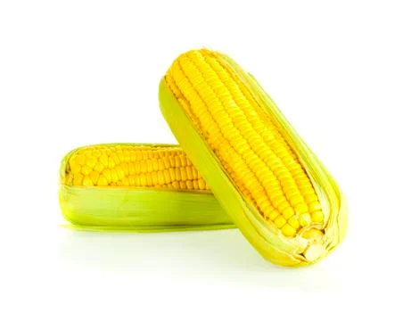 Corn on white background Stock Photos