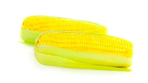Corn on white background Stock Photos