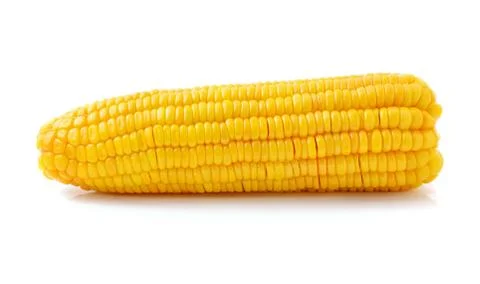 Corn on white background Stock Photos