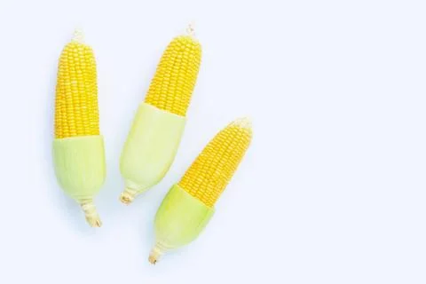 Corn on a white background. Stock Photos