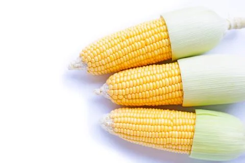 Corn on a white background. Stock Photos