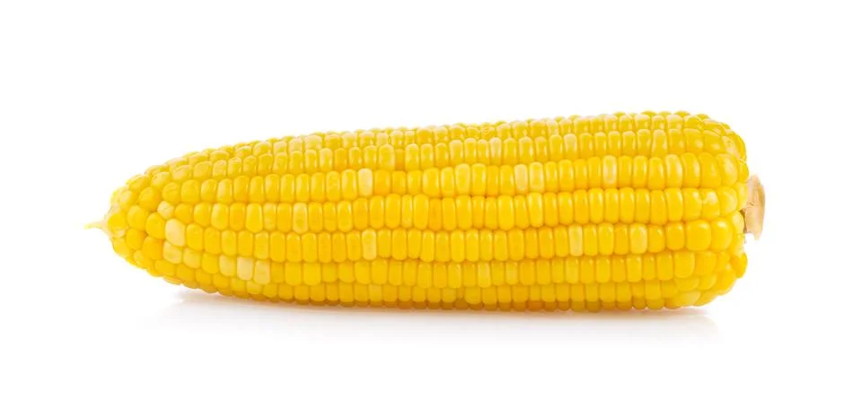 Corn on white background Stock Photos