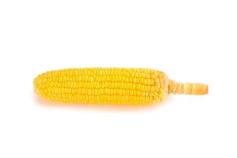 Corn on white background Stock Photos