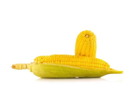 Corn on white background Stock Photos